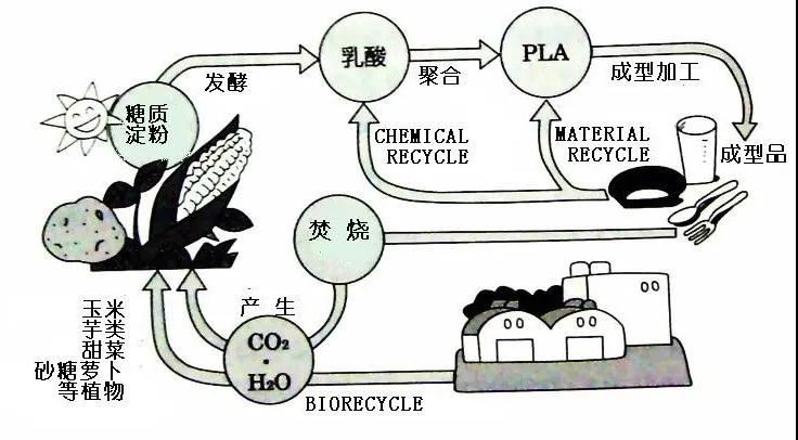 可生物降解環(huán)保塑料可以回收再利用嗎？(圖4)