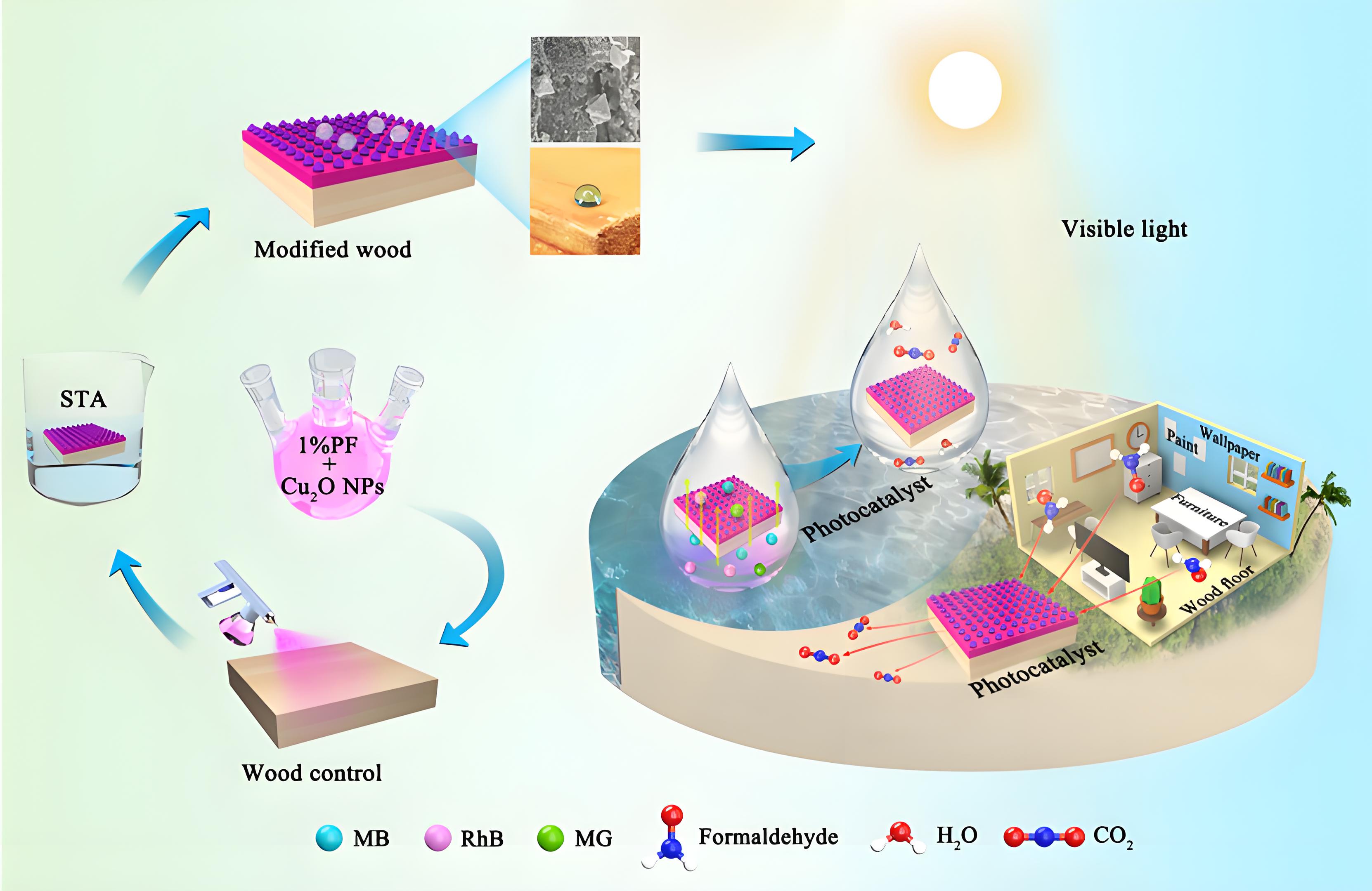 光降解和生物降解塑料袋區(qū)別？(圖1)