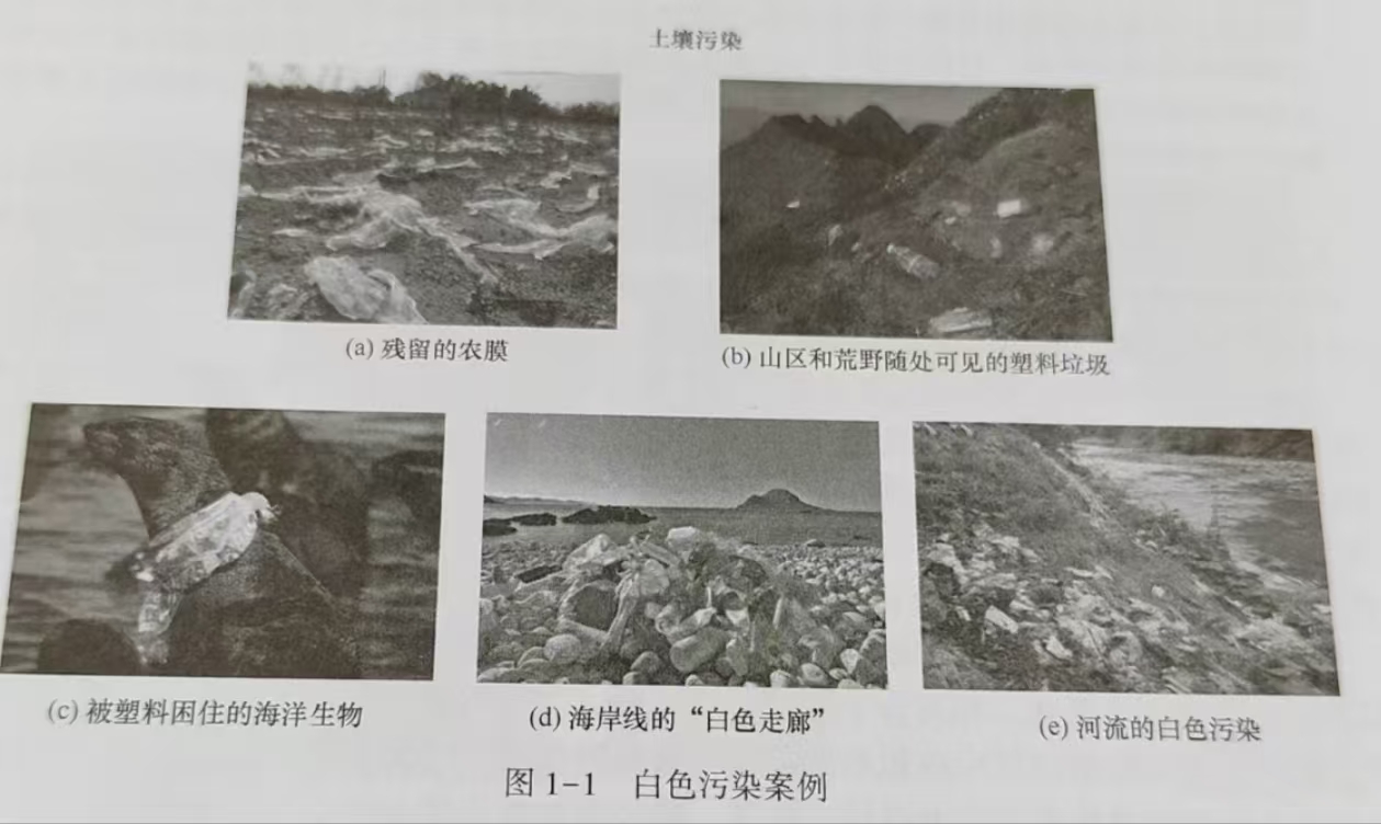 生物降解高分子材料(圖1)