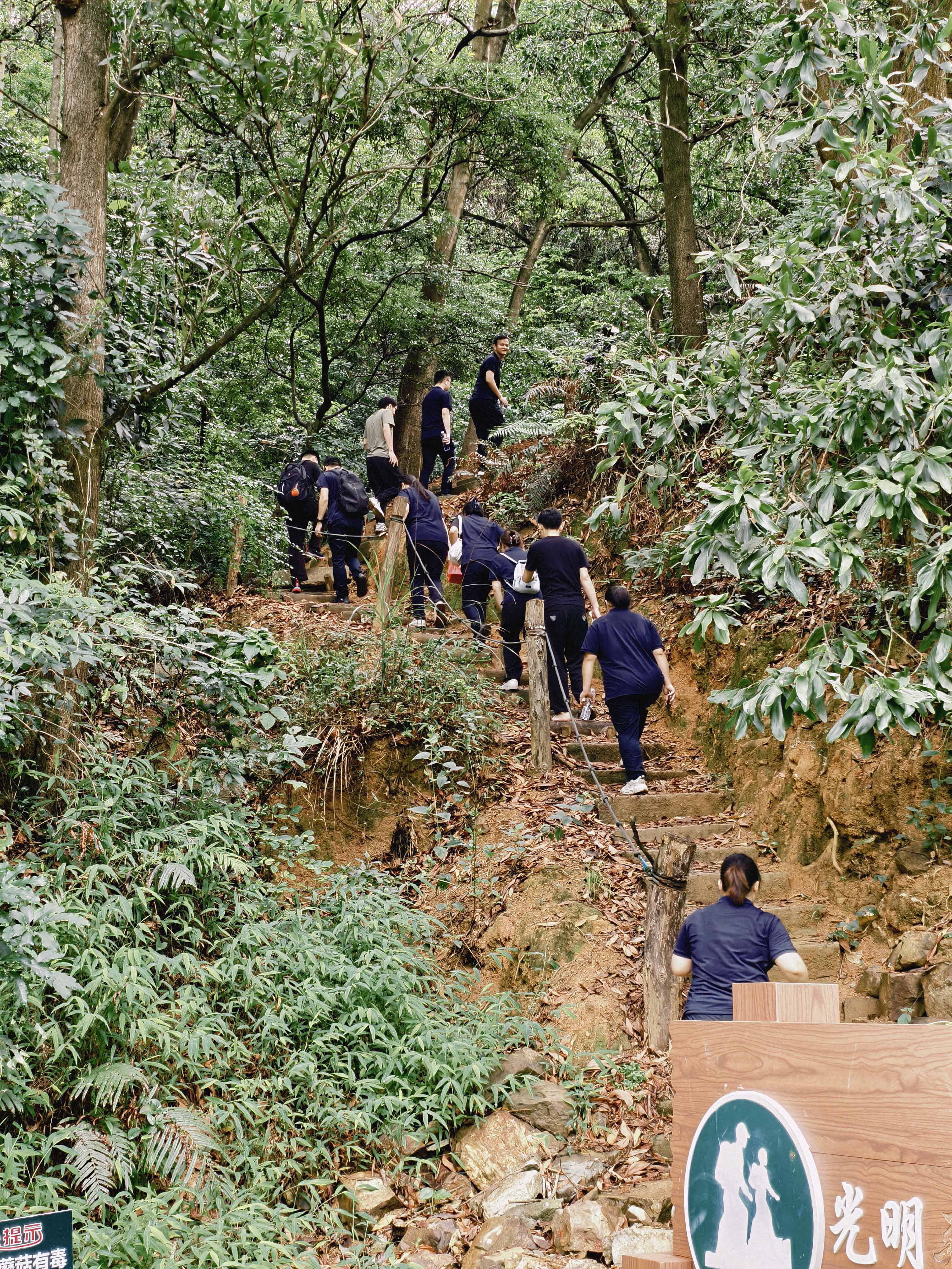 久信達(dá)科技公司員工齊聚光明區(qū)蠄蜍石，開(kāi)啟活力爬山之旅暨團(tuán)建活動(dòng)(圖2)