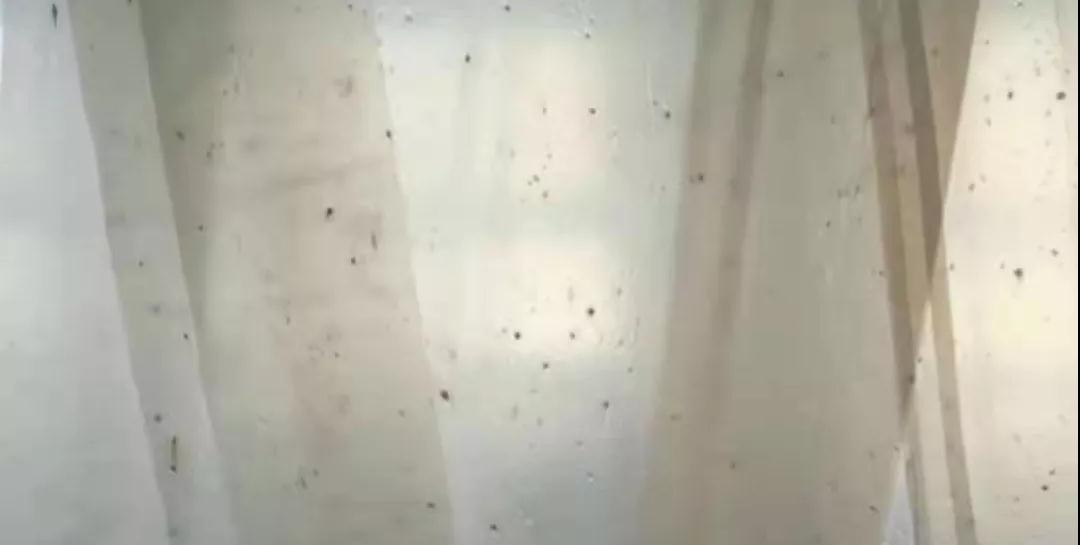 PBAT膜袋有黑點(diǎn)是什么原因？(圖1)